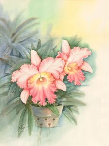 Thompson - 20th Century Watercolour, Pink Orchids