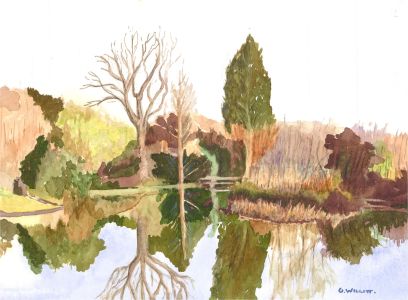 Gwyneth Willitt - Contemporary Watercolour, Reflections in the Lake