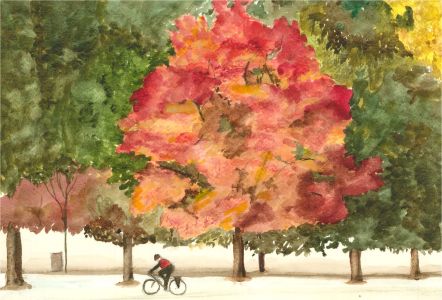 Gwyneth Willitt - Contemporary Watercolour, Early Morning Cycle Ride