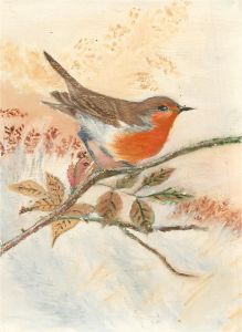 20th Century Oil - Robin