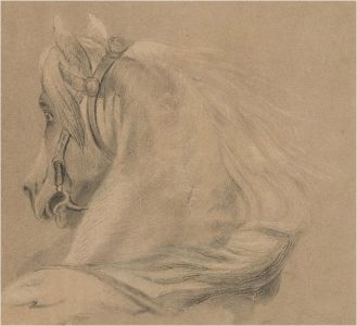 Late 19th Century Charcoal Drawing - Horse Study