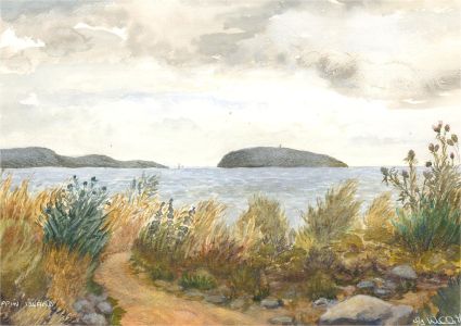 Gwyneth Willitt - Contemporary Watercolour, Puffin Island, Anglesey