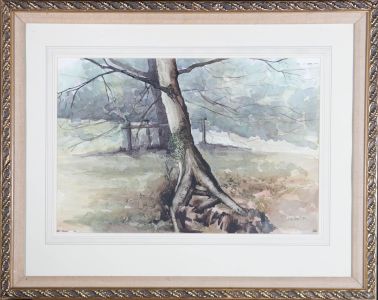 D. De Groot - 1980 Watercolour, Tree Roots