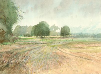 Keith Johnson (1931-2018) - 2016 Oil, Woodbastwick