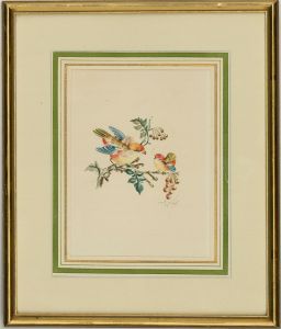 Pair of Mid 20th Century Watercolour - Vibrant Ornithological Studies