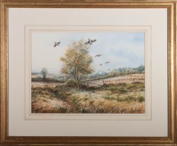 S.T. Trinder - Contemporary Watercolour, Flying Grouse