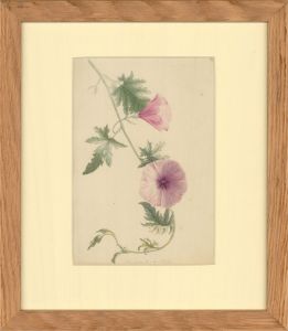 1867 Watercolour - Study of Delicate Purple Flowers