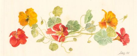 Sylvia Grottick - 1985 Watercolour, Red and Orange Flowers