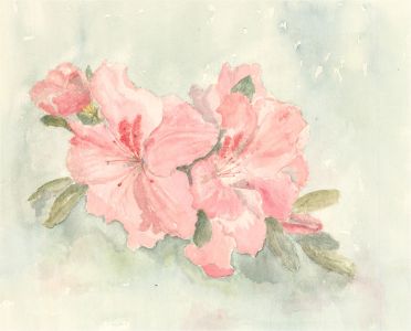 Sylvia Grottick - 20th Century Watercolour, Pink Flowers