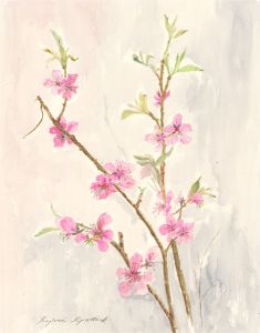 Sylvia Grottick - 20th Century Watercolour, Pink Blooms
