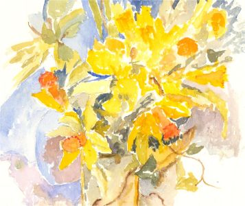 Sylvia Grottick - 20th Century Watercolour, Yellow Daffodils