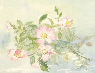 Sylvia Grottick - 20th Century Watercolour, Pink Bouquet