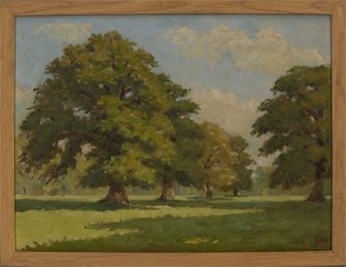 John G. Hall (1921-2006) - 20th Century Oil, Sun-Drenched Trees