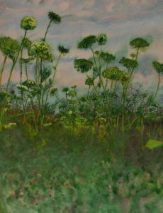 Contemporary Watercolour - Cow Parsley