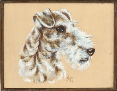 T. Grater - 20th Century Gouache, Wire Fox Terrier
