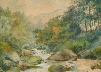 E. M Hunt - Signed Early 20th Century Watercolour, Forest River