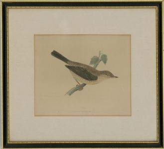 Alexander F Lydon (1836-1917) -Late 19thC Wood Engraving, Pair of Bird Studies