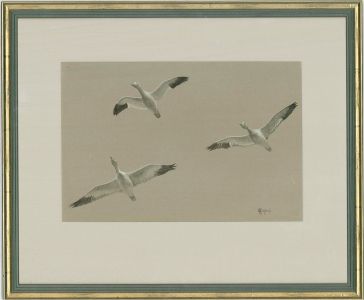 E. M. Chadwick - Contemporary Watercolour, Trumpeter Swans In Flight