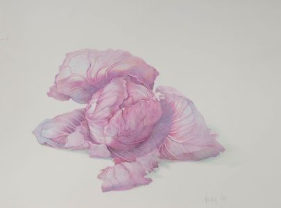 Vicky Cox (1943-1999) - Signed 20th Century Watercolour, Study of Cabbages