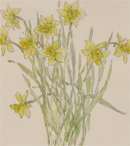 Jill Dickin - 1998 Watercolour, Daffodils
