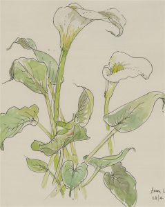 Jill Dickin - Contemporary Watercolour, Arum-lily