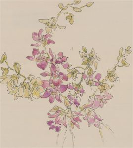 Jill Dickin - 1999 Watercolour, Orchids
