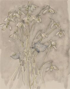 Jill Dickin - 2000 Watercolour, Delicate Flowers