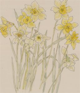 Jill Dickin - Contemporary Watercolour, Daffodils