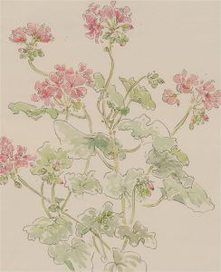 Jill Dickin - Contemporary Watercolour, Dainty Flowers