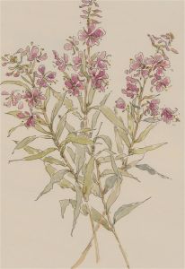 Jill Dickin - 1997 Watercolour, Dainty Pink Flowers