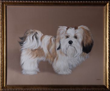 Isabel Clark - Contemporary Oil, Shih Tzu