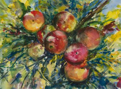 Zafar Rizvi - Contemporary Watercolour, Apple Branch
