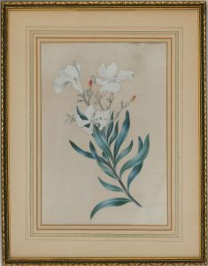 Early 20th Century Watercolour - White Freesias