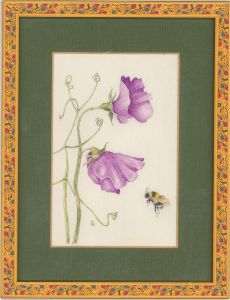 Mollie Foster (1934-2021) - Contemporary Watercolour, Sweet Peas And Bumblebee