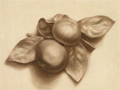 Early 20th Century Watercolour - Apples and Leaves