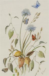 M. Cannon - Signed Watercolour, Study of Butterflies and Flowers