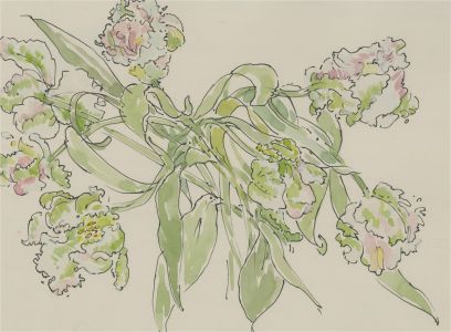 Jill Dickin - 2001 Watercolour, Parrot Tulips