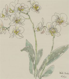 Jill Dickin - 2001 Watercolour, White Orchids