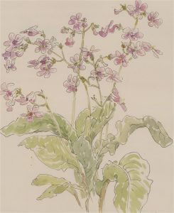 Jill Dickin - 1998 Watercolour, Dainty Flowers I