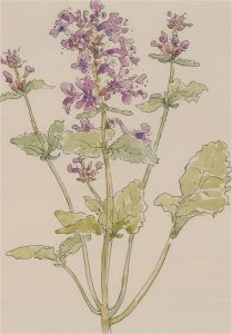 Jill Dickin - 1998 Watercolour, Lilac Flowers