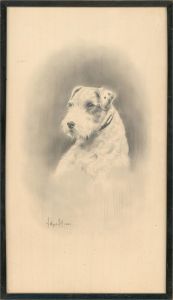 Herbert Wynn Hellings (1873-1948) - Graphite Drawing, Noble Terrier