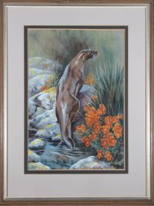 Mary Elliott Lacey (1923-2004) - 20th Century Watercolour, Otter