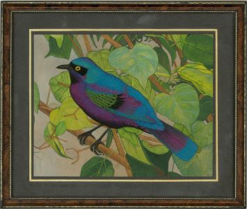 Contemporary Gouache - Purple Glossy Starling