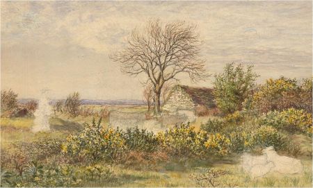 Late 19th Century Watercolour - Cottage in the Field