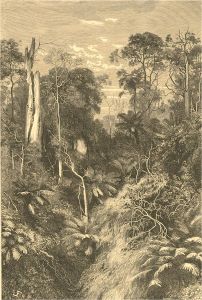 Set of Early 20th Century Wood Engraving - People And Views From Australia