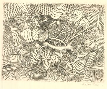 Marjorie Field - 20th Century Etching, Natural Forms