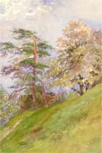 Early 20th Century Watercolour - Hillside Trees