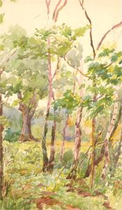 Early 20th Century Watercolour - Woodland Scene