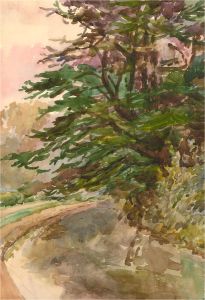 Early 20th Century Watercolour - Pine Trees