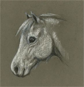 Diana M. Perowne (1934-2020) - 20th Century Pastel, Connemara Pony